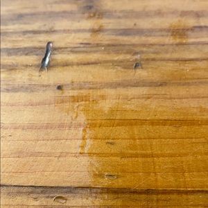 Meet your Posher, Adam